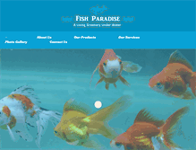 Tablet Screenshot of fishparadisepune.com